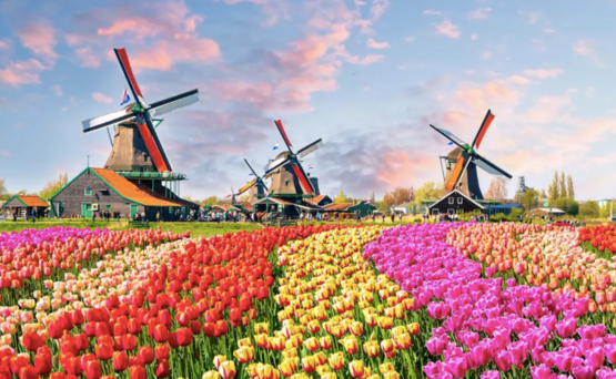 Benelux TRIP I Majówka dookoła Niderlandów