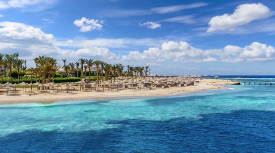 Sylwester all inclusive***** w Egipcie