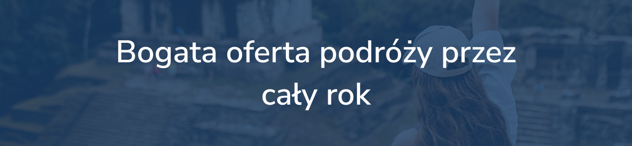 Baner promocyjny